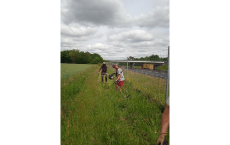 Pour votre festival de cannes 